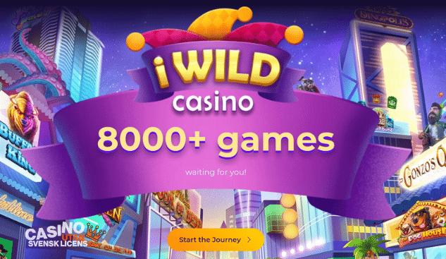Stort spelutbud hos iWild casino